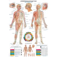 Erler Zimmer Anatomical Chart "Acupuncture",...