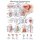 Erler Zimmer Anatomical Chart "Mail Genital Organs", Different Sizes