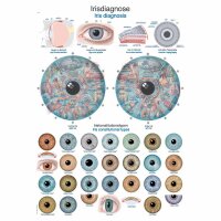 Erler Zimmer Anatomical Chart "Iris Diagnosis",...