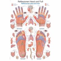 Erler Zimmer Anat. Chart "Reflexzones Hand and...