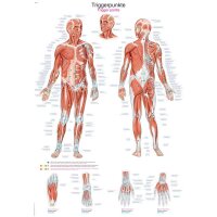 Erler Zimmer Anatomical Chart "Trigger Points",...